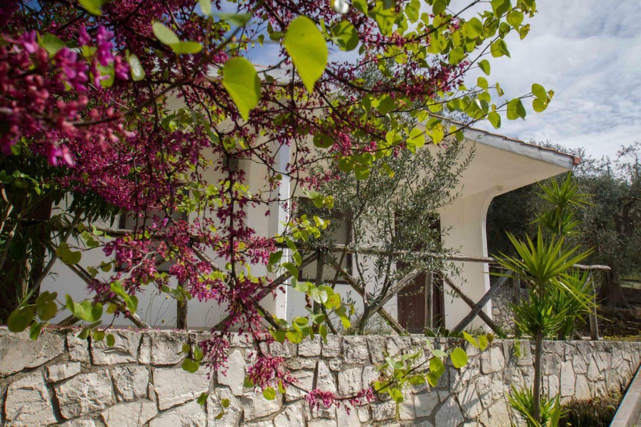Village Valle D'Oro Aparthotel Сан-Менайо Экстерьер фото